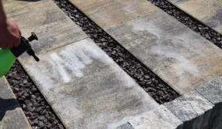 Odstraňovač výkvetov V10